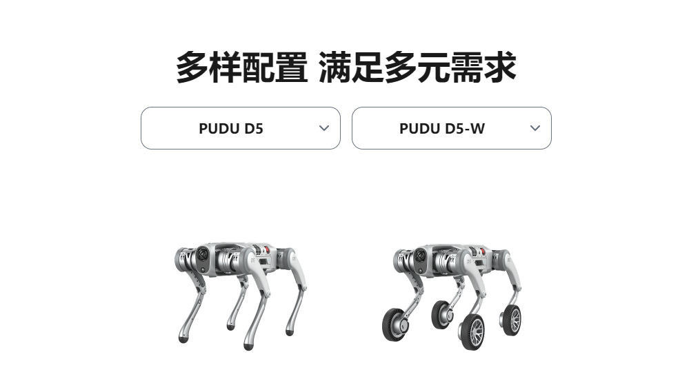 D5系列